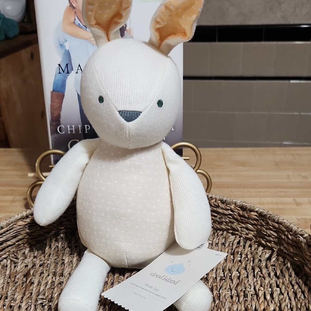 Adorable Plush Bunny